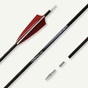 ARROWS CARBON PENTHALON BANDIT spine 600 / FEATHERS / NOCK / INSERT / POINT 12/PK