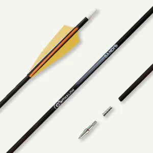 ARROWS CARBON PENTHALON BANDIT spine 700 / FEATHERS / NOCK / INSERT / POINT 12/PK